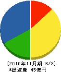 遠藤建設 貸借対照表 2010年11月期