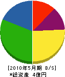 日本ティーエス 貸借対照表 2010年5月期
