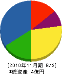 斉藤工業 貸借対照表 2010年11月期