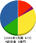 岡崎庭芸 貸借対照表 2009年3月期