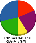 宇田川電気工業所 貸借対照表 2010年6月期