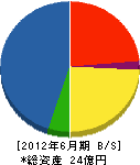 戸塚建設 貸借対照表 2012年6月期