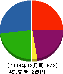 山本自動車工業 貸借対照表 2009年12月期