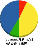 富田組 貸借対照表 2010年6月期