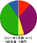 昭和薬品工業 貸借対照表 2011年3月期