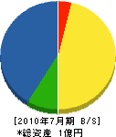 早川商会 貸借対照表 2010年7月期