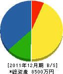 柴田工務所 貸借対照表 2011年12月期