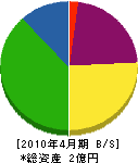 池田工業 貸借対照表 2010年4月期
