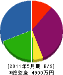 千原塗装店 貸借対照表 2011年5月期