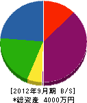 松井電設 貸借対照表 2012年9月期