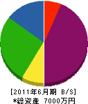 菊川設備工業 貸借対照表 2011年6月期