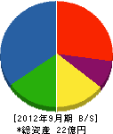信澤工業 貸借対照表 2012年9月期
