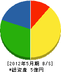 横田建設 貸借対照表 2012年5月期