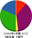 松永工務店 貸借対照表 2009年6月期