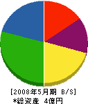 湘南サンテクノ 貸借対照表 2008年5月期
