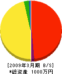 石井電気商会 貸借対照表 2009年3月期