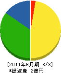 阿久津電機 貸借対照表 2011年6月期