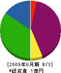 中矢美装 貸借対照表 2009年6月期
