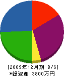 矢野工務店 貸借対照表 2009年12月期
