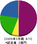 日本リソース 貸借対照表 2009年3月期
