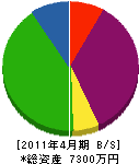 平松電業 貸借対照表 2011年4月期