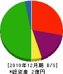 竹内産業 貸借対照表 2010年12月期