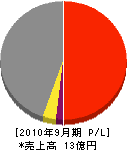 琉球テクノ産業 損益計算書 2010年9月期