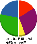 成島組 貸借対照表 2012年2月期