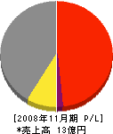 羽生田鉄工所 損益計算書 2008年11月期
