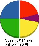 安田産業 貸借対照表 2011年5月期
