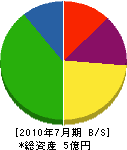 宮田組 貸借対照表 2010年7月期