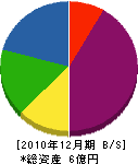 大沢 貸借対照表 2010年12月期
