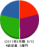 伊藤商店 貸借対照表 2011年6月期