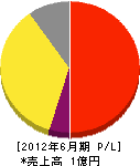 丸昭清美社 損益計算書 2012年6月期