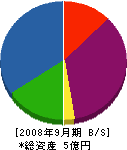 田辺建設 貸借対照表 2008年9月期