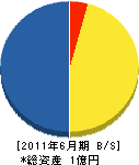 成島電気工業 貸借対照表 2011年6月期