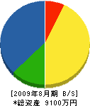 園田組 貸借対照表 2009年8月期