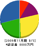 日昭造園 貸借対照表 2009年11月期