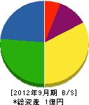 芹沢設備工業 貸借対照表 2012年9月期