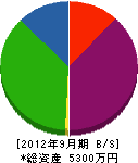 ミユキ電機 貸借対照表 2012年9月期