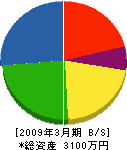 大櫻建設 貸借対照表 2009年3月期