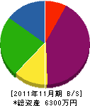 竹氏電設 貸借対照表 2011年11月期