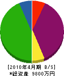 井田建設 貸借対照表 2010年4月期