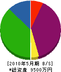 渡辺建設 貸借対照表 2010年5月期