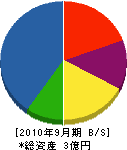 新日電設 貸借対照表 2010年9月期