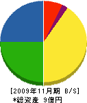 東清 貸借対照表 2009年11月期