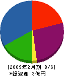 小坂電気商会 貸借対照表 2009年2月期