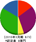 生田 貸借対照表 2010年3月期