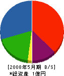 渡辺工務店 貸借対照表 2008年5月期