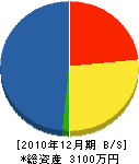堀江組 貸借対照表 2010年12月期